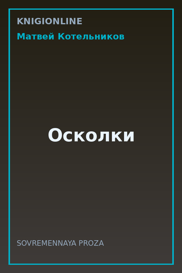 Обложка книги Осколки