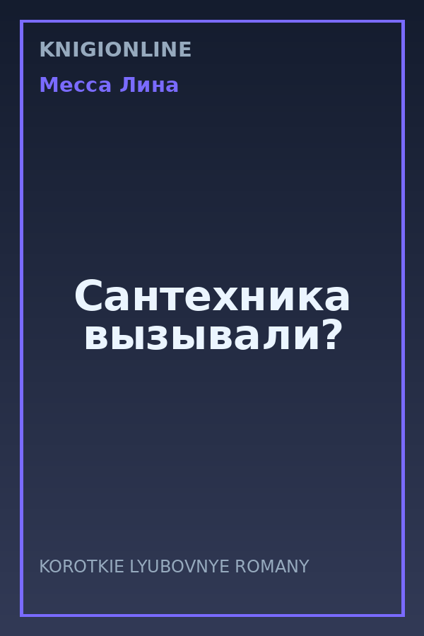 Обложка книги Сантехника вызывали?