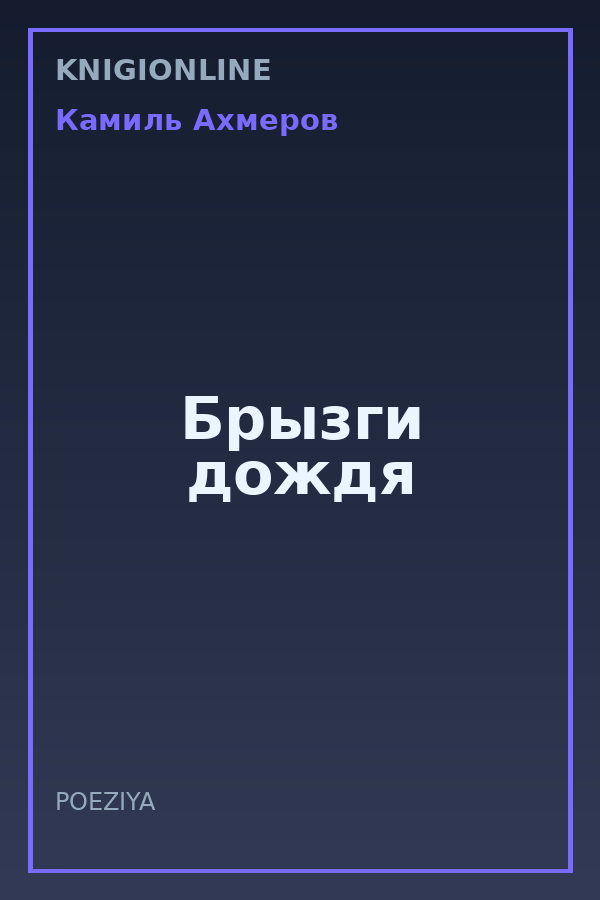 Обложка книги Брызги дождя