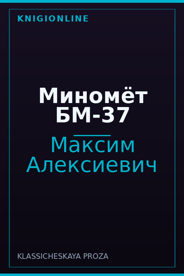 Обложка книги Миномёт БМ-37