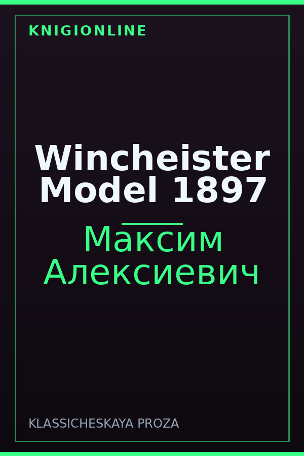 Обложка книги Wincheister Model 1897