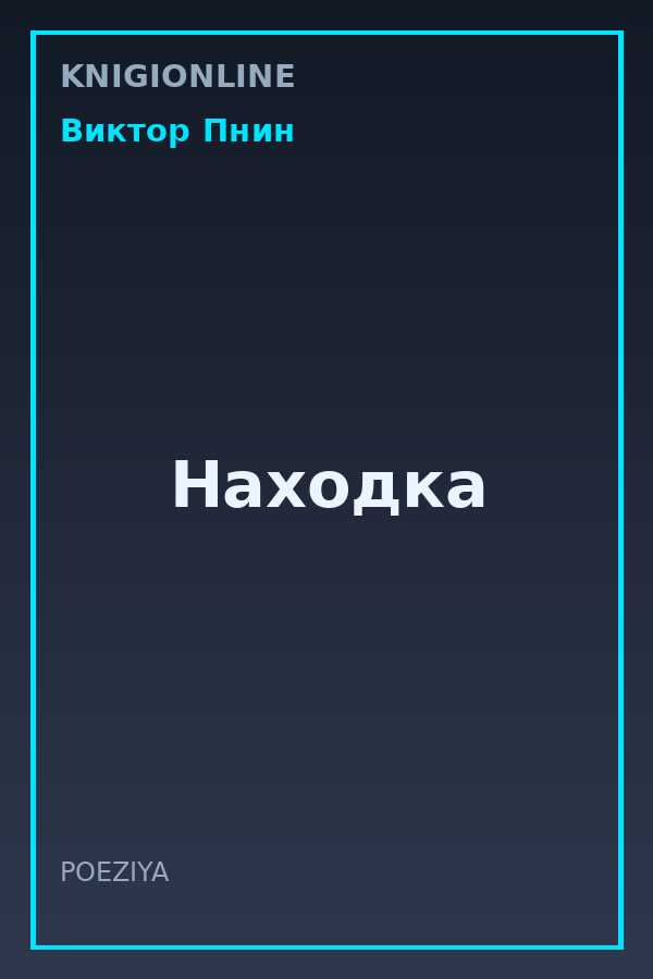 Обложка книги Находка