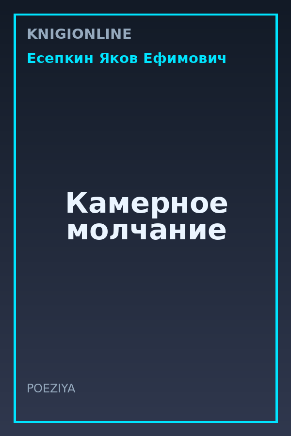 Обложка книги Камерное молчание