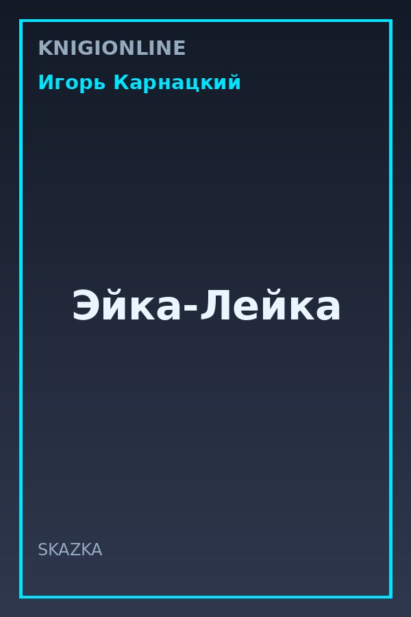 Обложка книги Эйка-Лейка