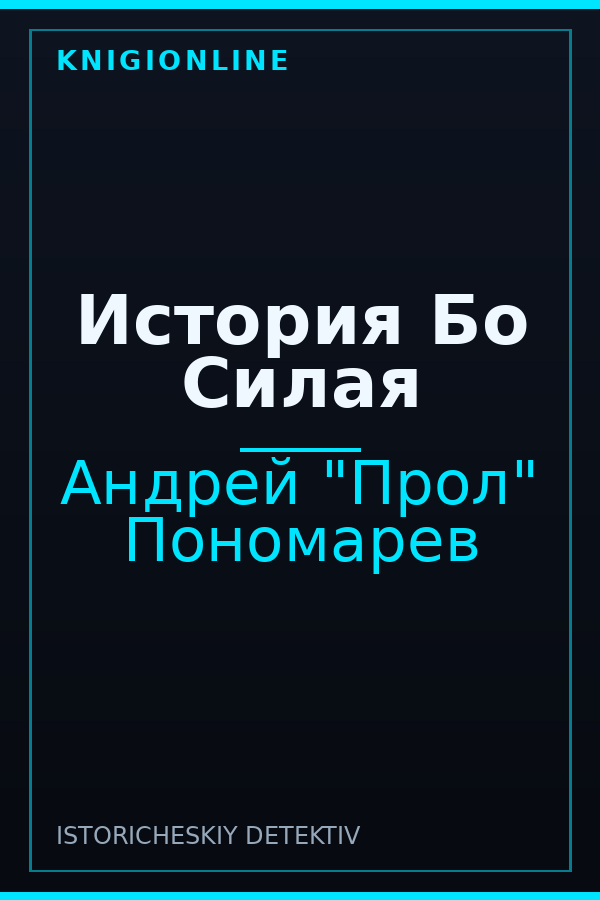 Обложка книги История Бо Силая
