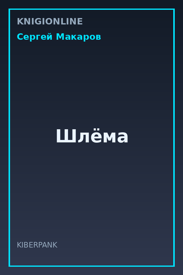 Обложка книги Шлёма
