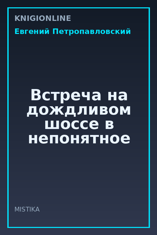 Обложка книги Встреча на дождливом шоссе в непонятное