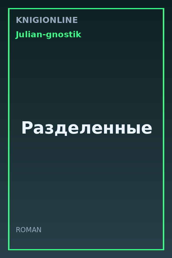 Обложка книги Разделенные