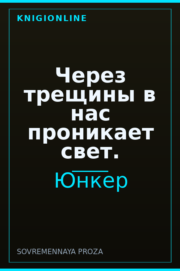 Обложка книги Через трещины в нас проникает свет.