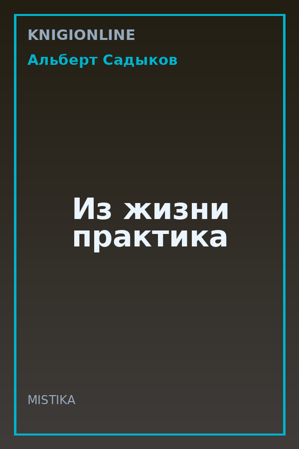 Обложка книги Из жизни практика