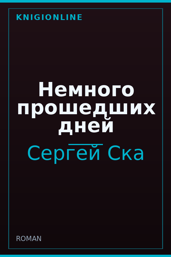Обложка книги Немного прошедших дней