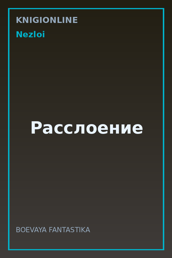 Обложка книги Расслоение
