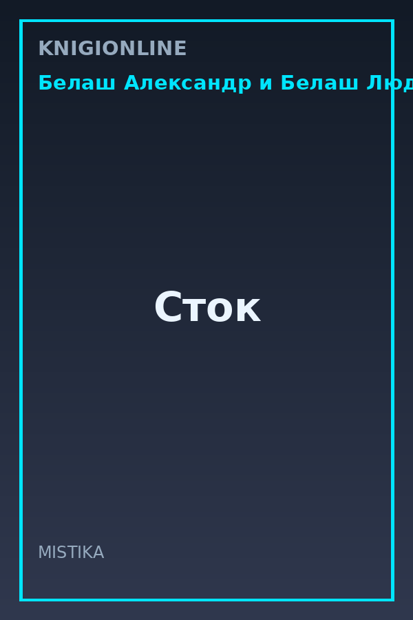 Обложка книги Сток