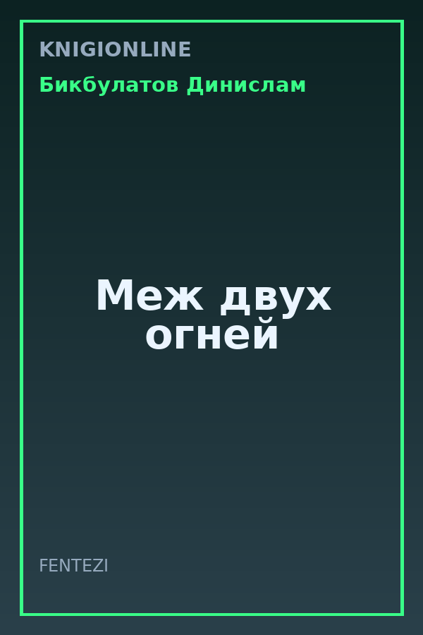 Обложка книги Меж двух огней