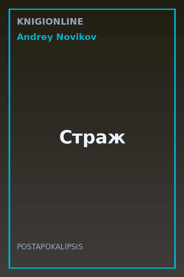 Обложка книги Страж