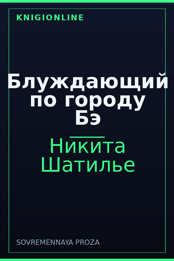 Обложка книги Блуждающий по городу Бэ