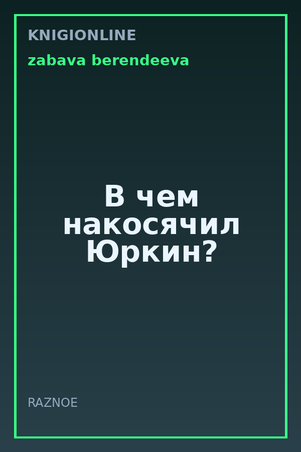 Обложка книги В чем накосячил Юркин?