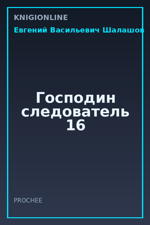 Обложка книги Господин следователь 16