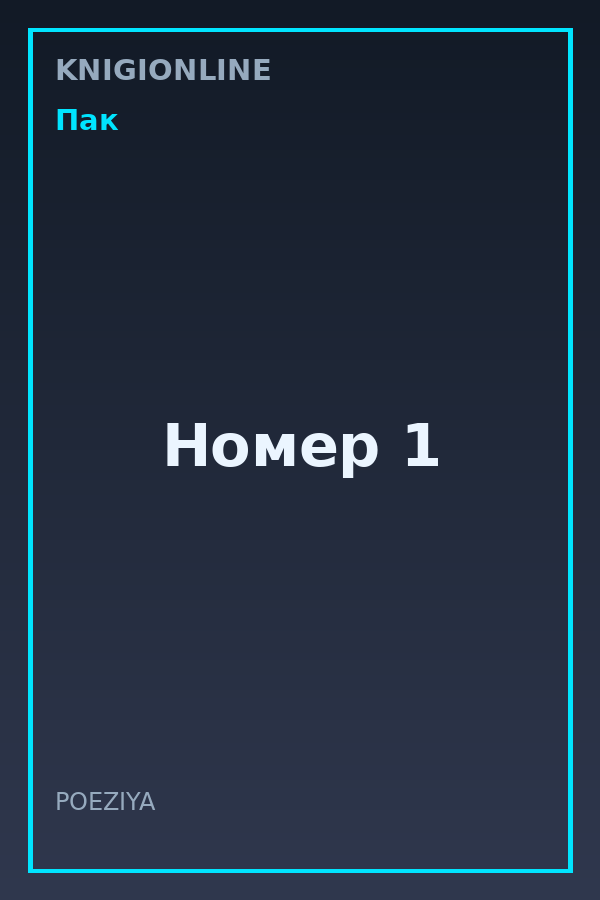 Обложка книги Номер 1