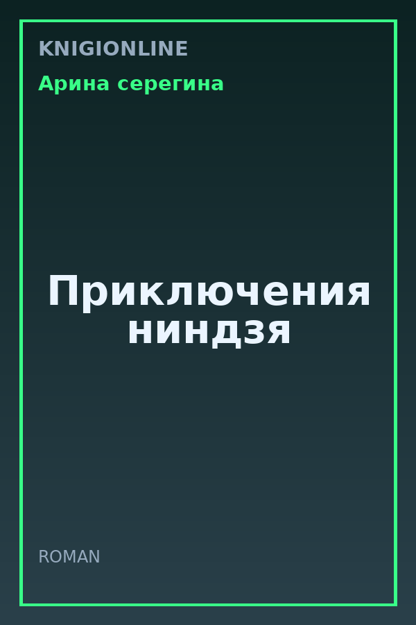 Обложка книги Приключения ниндзя