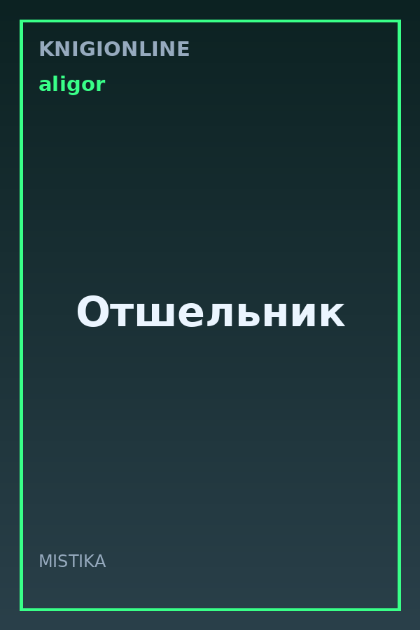 Обложка книги Отшельник