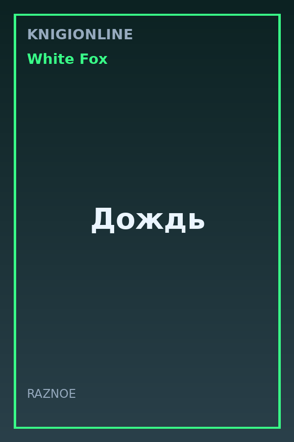 Обложка книги Дождь