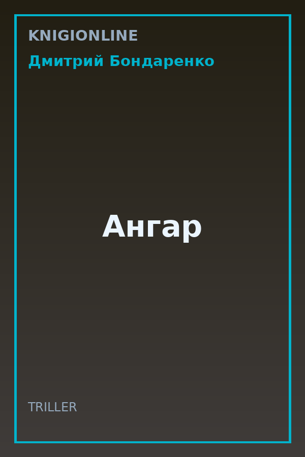 Обложка книги Ангар