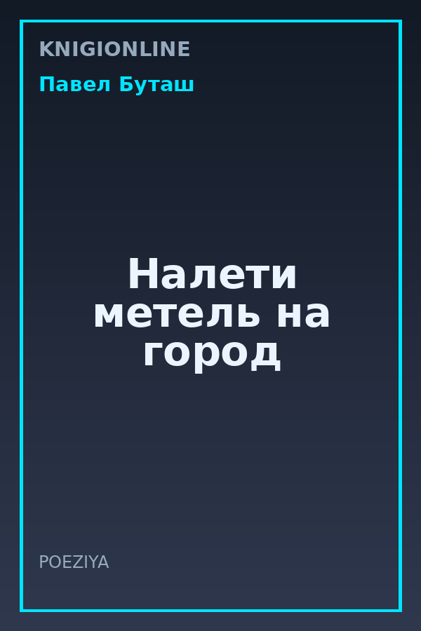 Обложка книги Налети метель на город