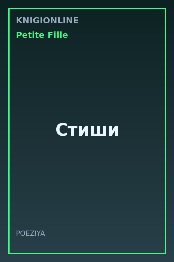 Обложка книги Стиши