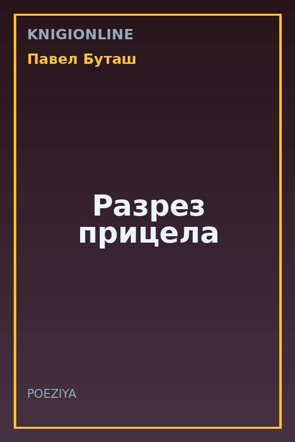 Обложка книги Разрез прицела