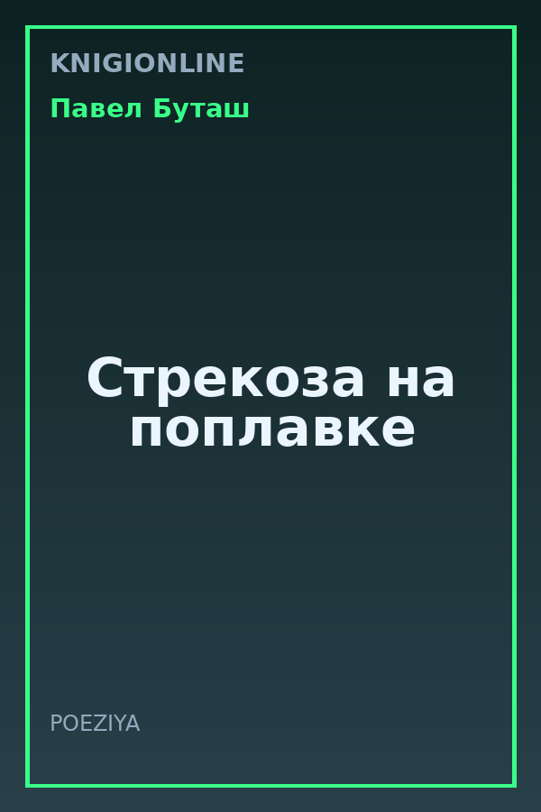 Обложка книги Стрекоза на поплавке