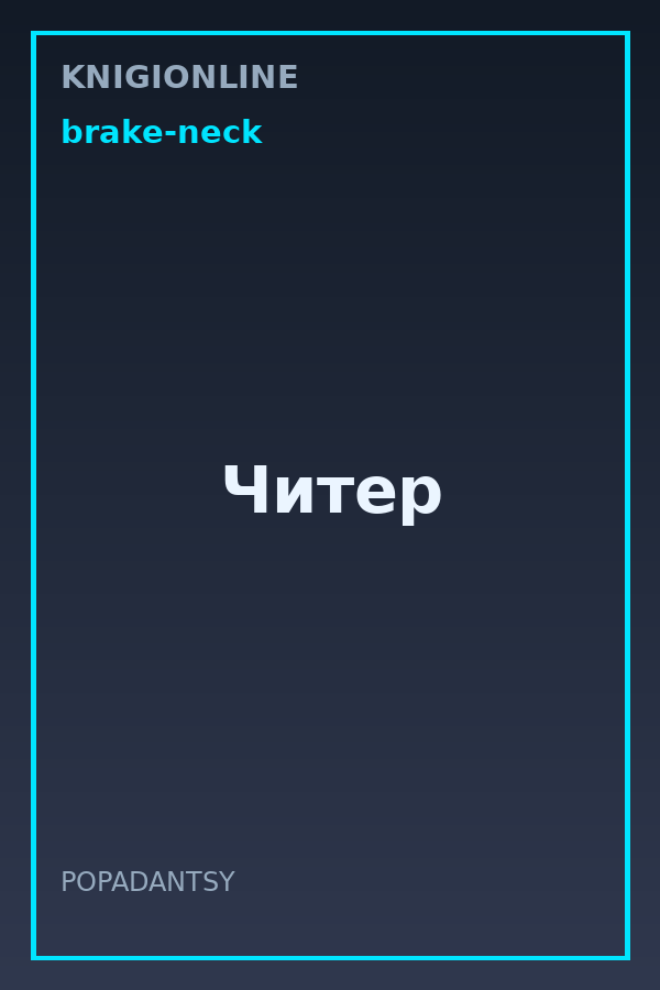 Обложка книги Читер