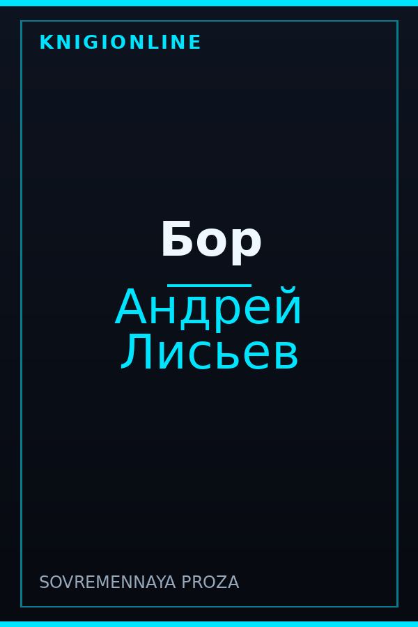 Обложка книги Бор