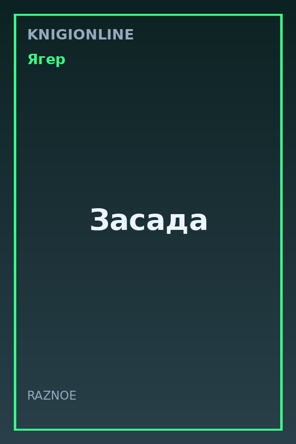 Обложка книги Засада