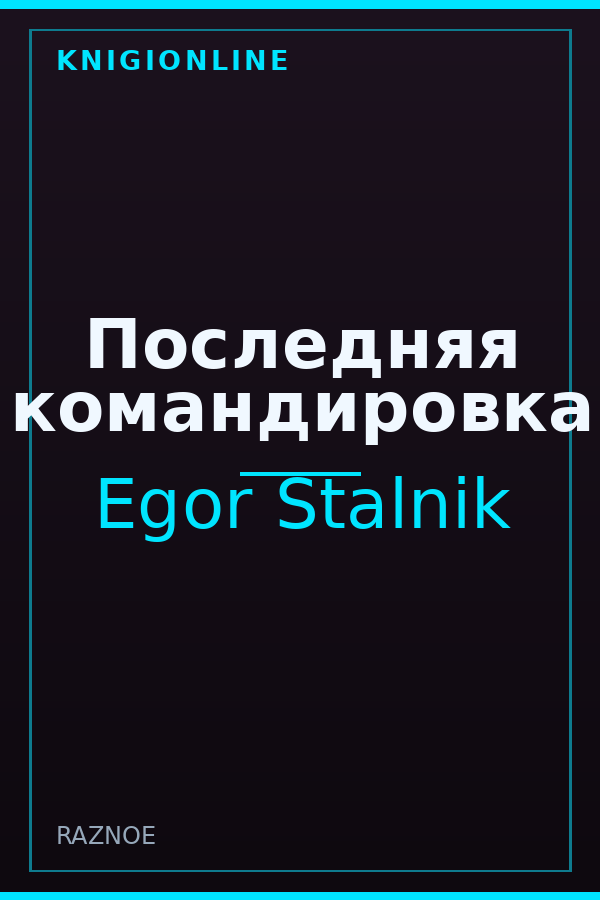 Обложка книги Последняя командировка