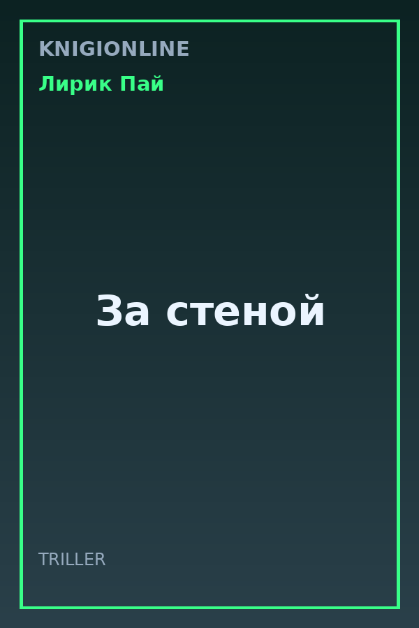 Обложка книги За стеной