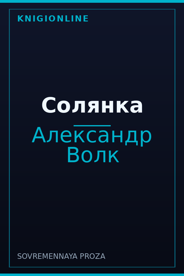 Обложка книги Солянка