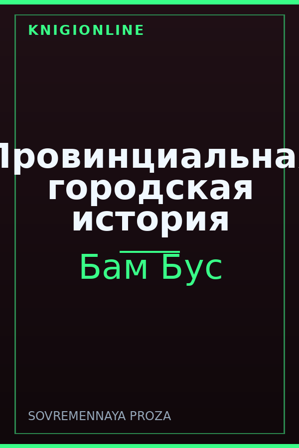 Обложка книги Провинциальная городская история