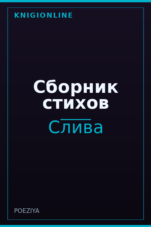 Обложка книги Сборник стихов
