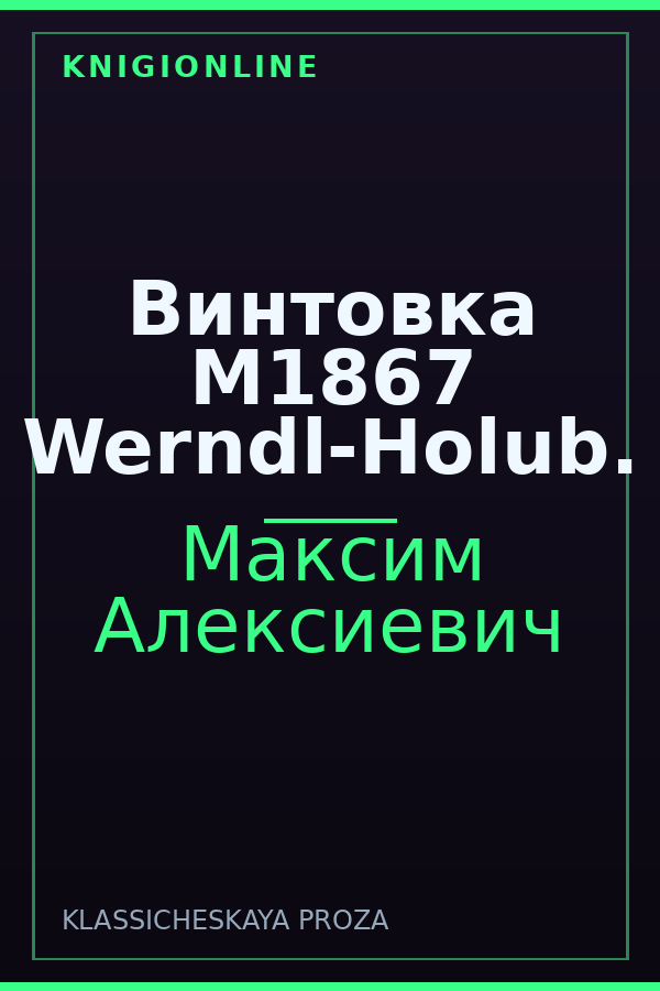 Обложка книги Винтовка М1867 Werndl-Holub.